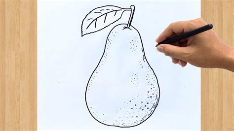pera drawing easy|How To Draw A Pear In 5 Easy Steps .